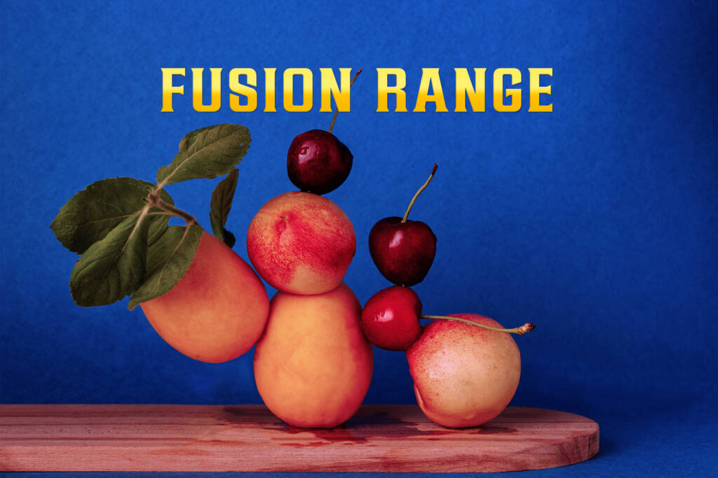 A creative mix of flavors that blend the best of multiple worlds.